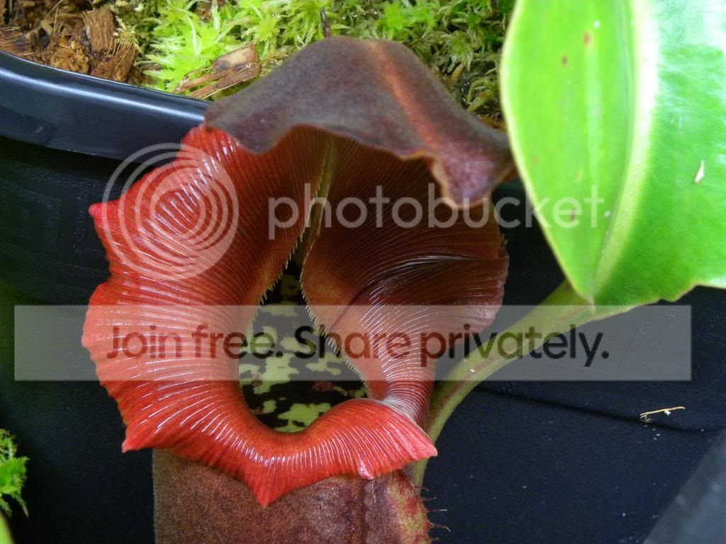 009_zpseb6d3c16.jpg