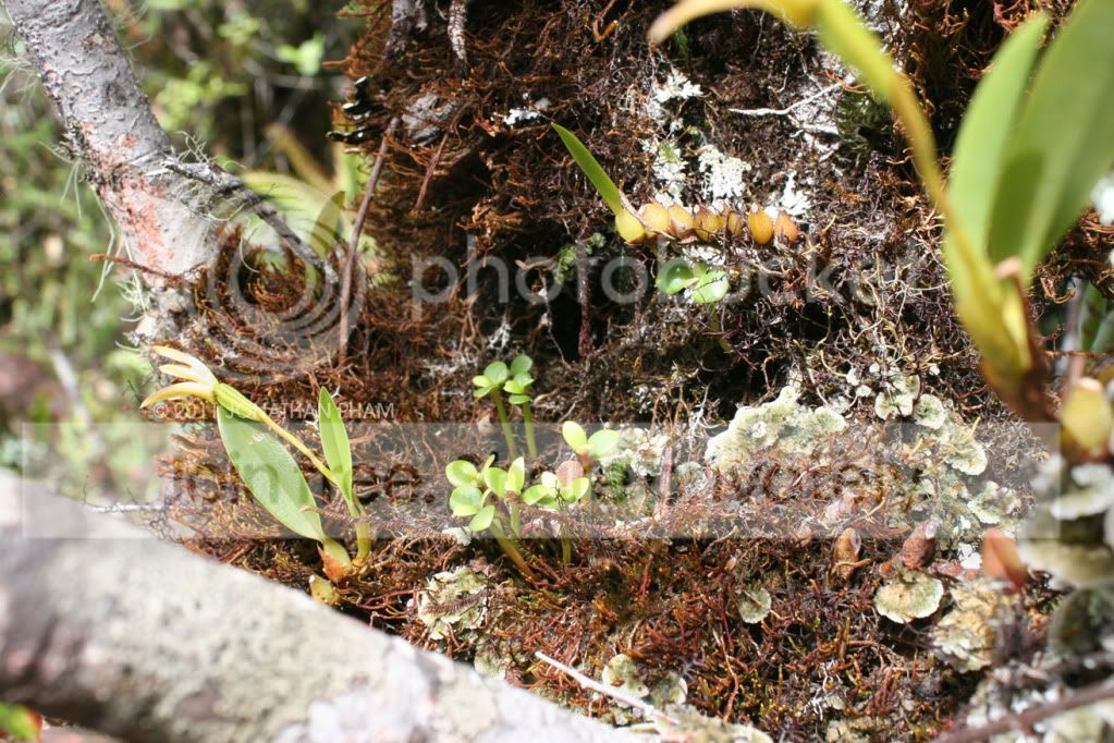 IMG_0788.jpg
