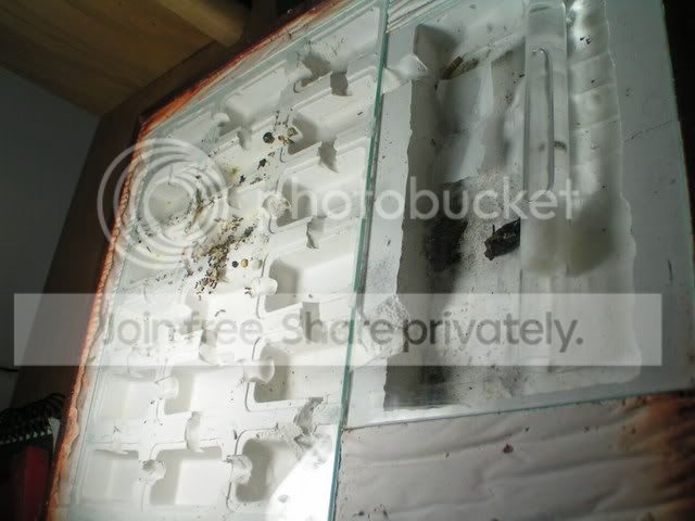 PICT0094.jpg