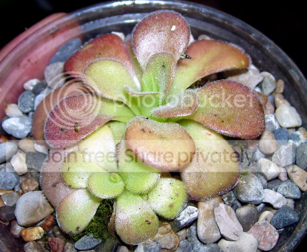 100_5876.jpg