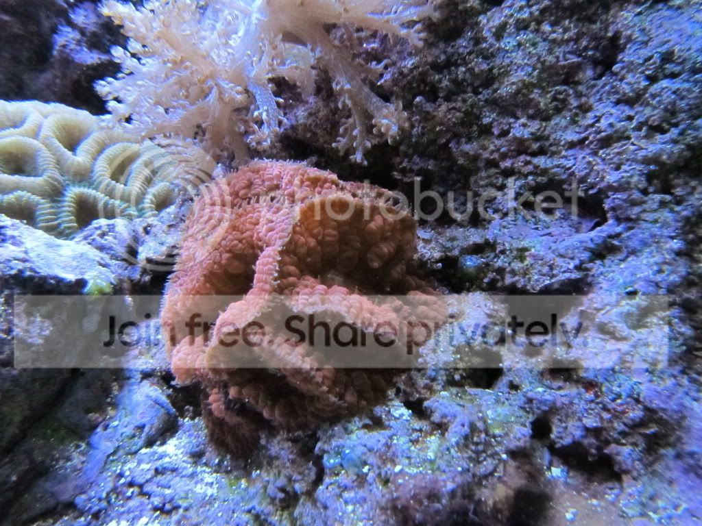 IMG_5719.jpg