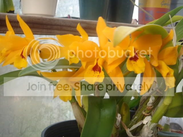 DSC00034.jpg