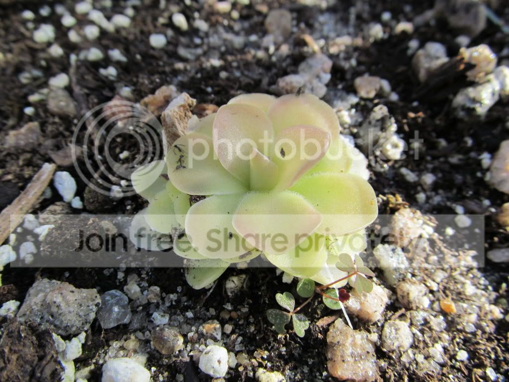 IMG_0472.jpg