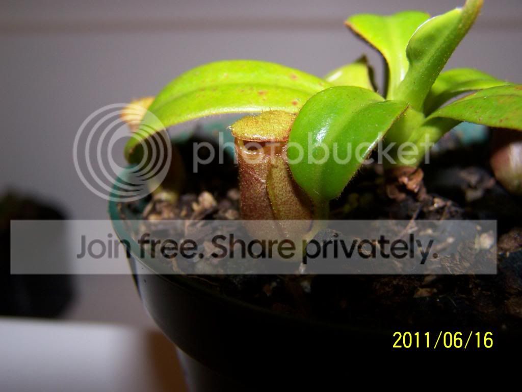 100_4666.jpg