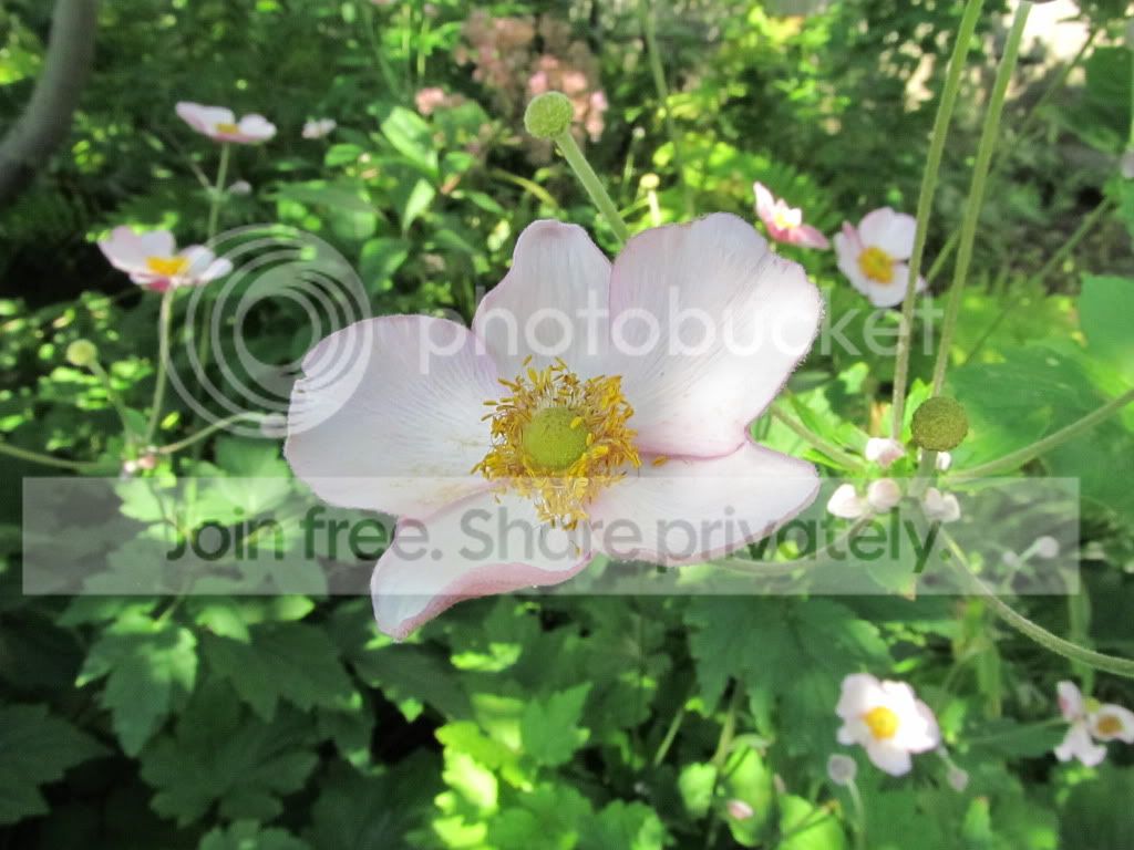 IMG_8379.jpg