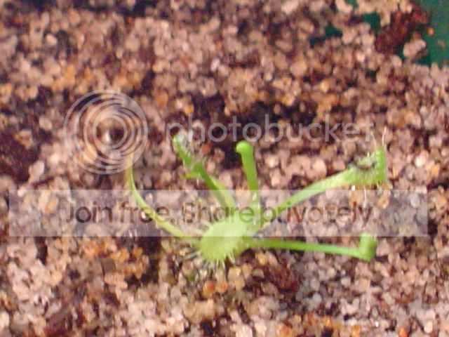 DSC01063.jpg