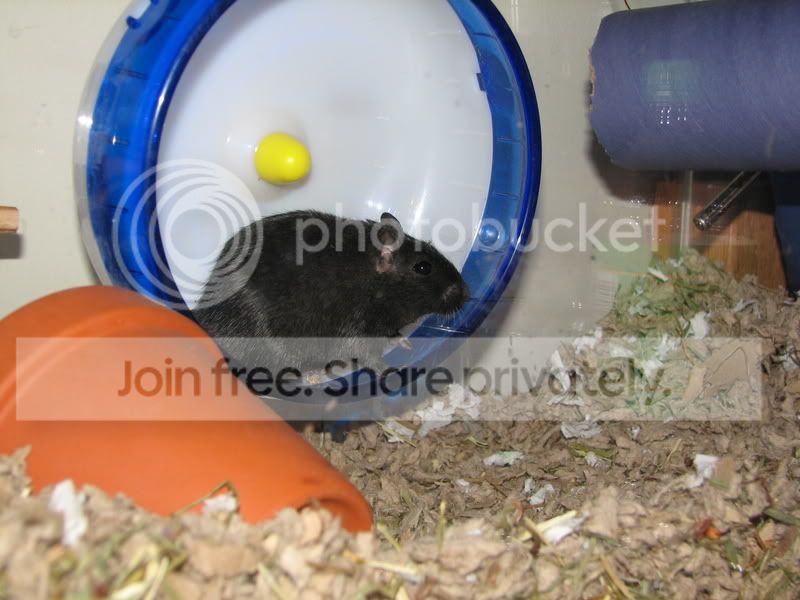 bunker2.jpg