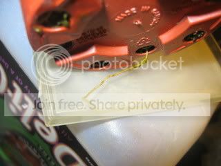IMG_5972.jpg