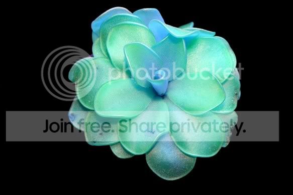 Pirouetteblackblueglow.jpg
