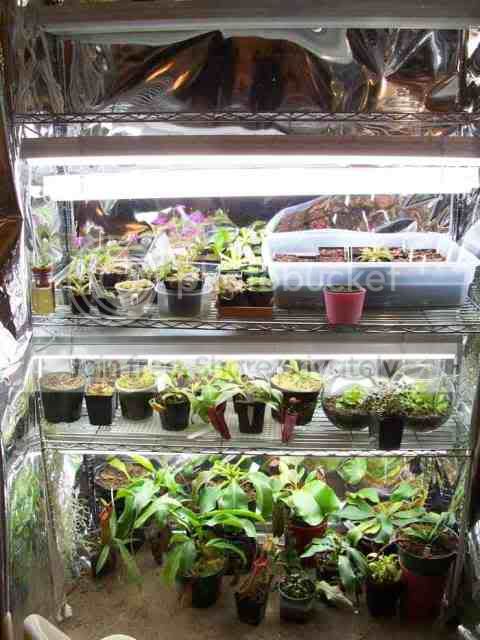 growshelf.jpg