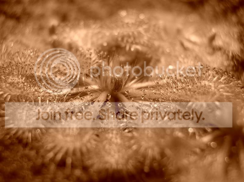 dscn2495.jpg