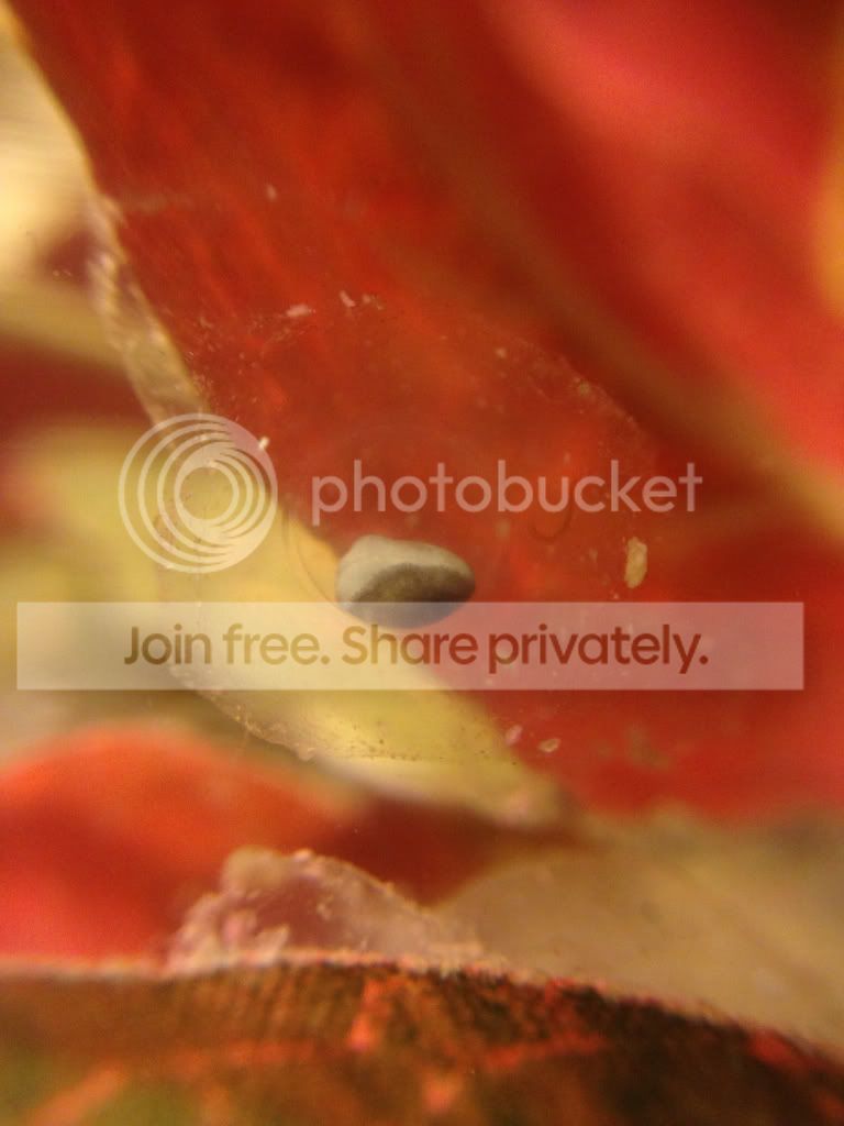 d617a8af71e28463572004ded5ac9c70.jpg