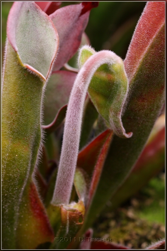 DPP_0144_hf.jpg