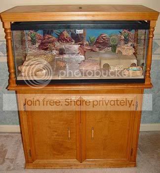 40gallonlizard.jpg