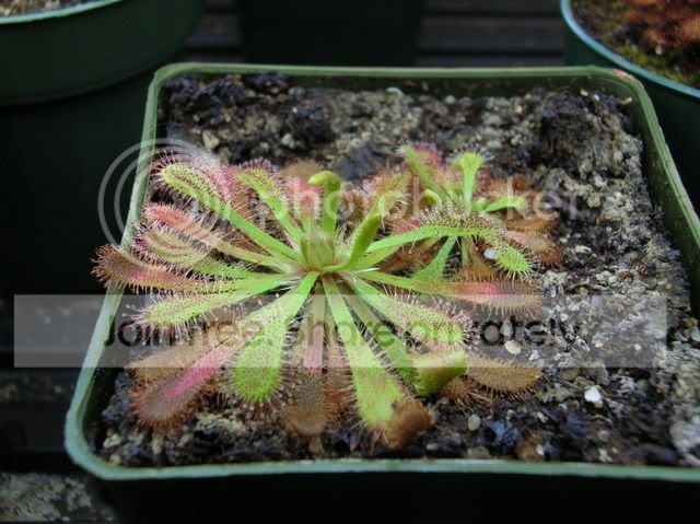 DSCN6879.jpg