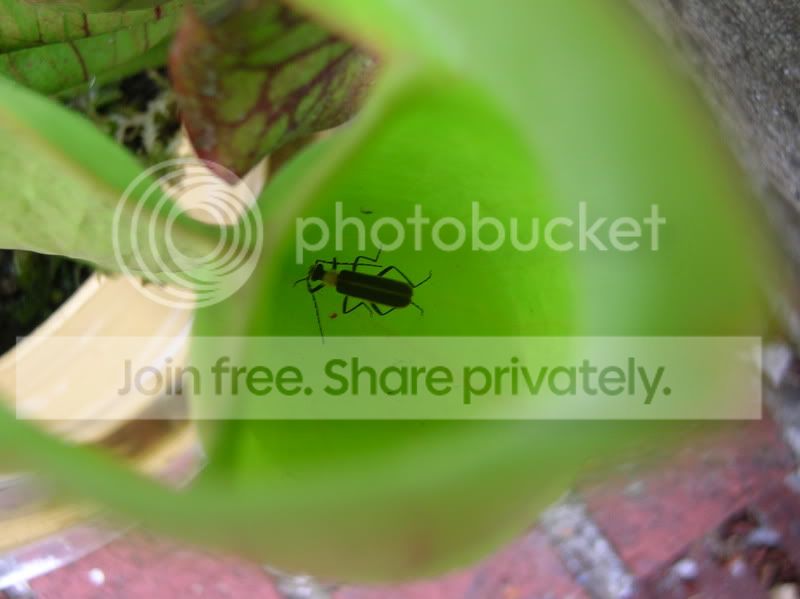 DSCN3790.jpg