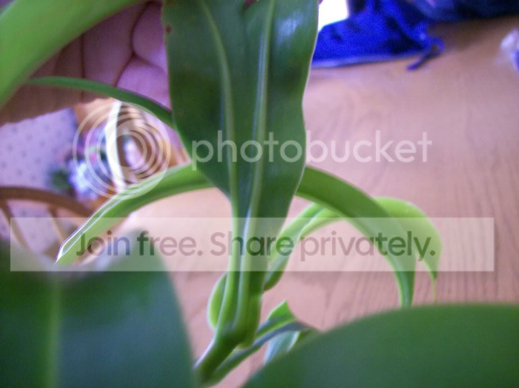 somepics169.jpg