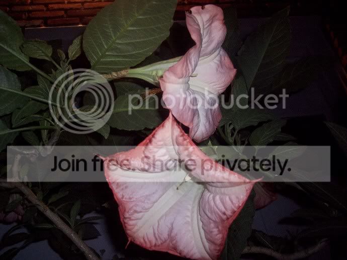 100_4302.jpg