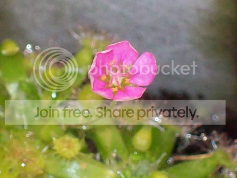 100_8694.jpg