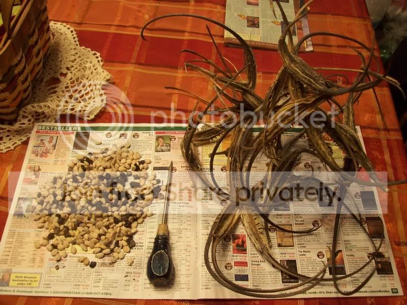 100_8467.jpg