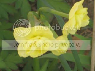 Spring2009013.jpg