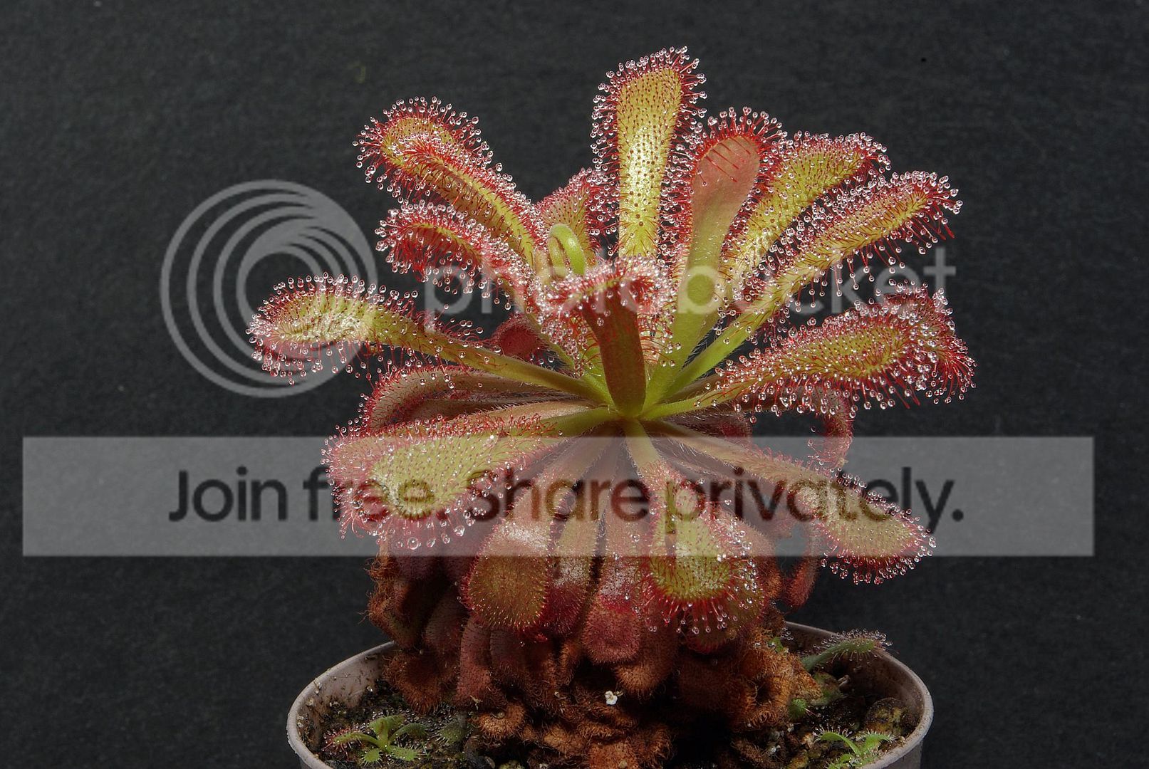 IMGP1159copy.jpg