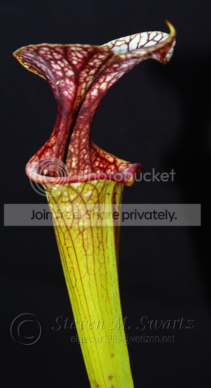 adrain-slack-090.jpg