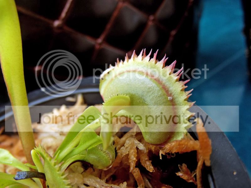 DSCF9074.jpg
