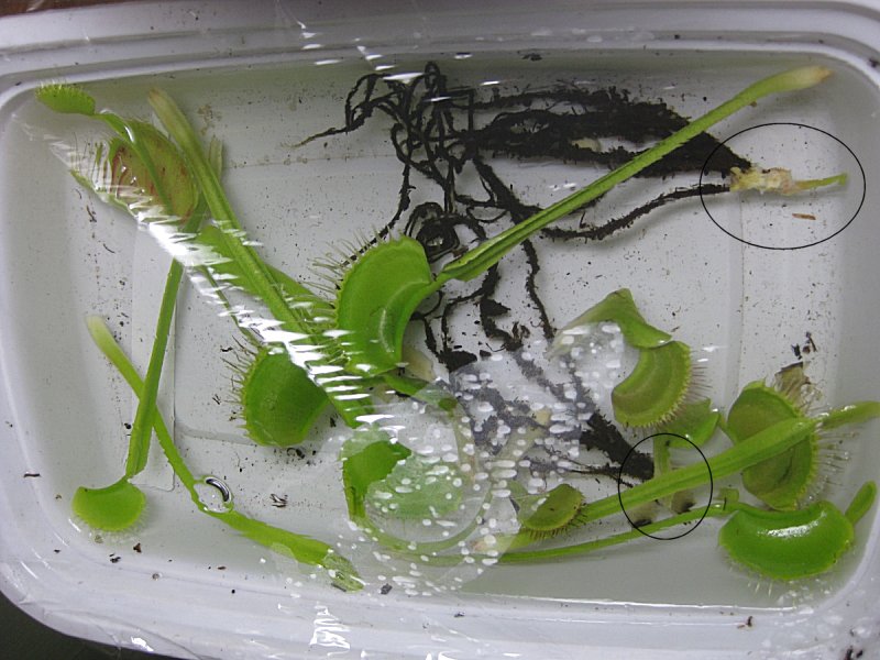 20110420.jpg