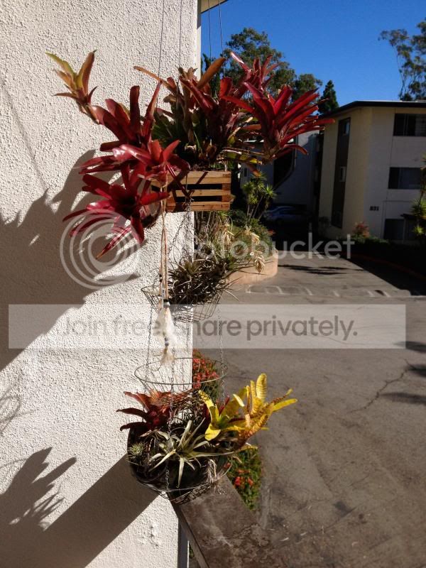 IMG_4561_zpsf5b2bc55.jpg