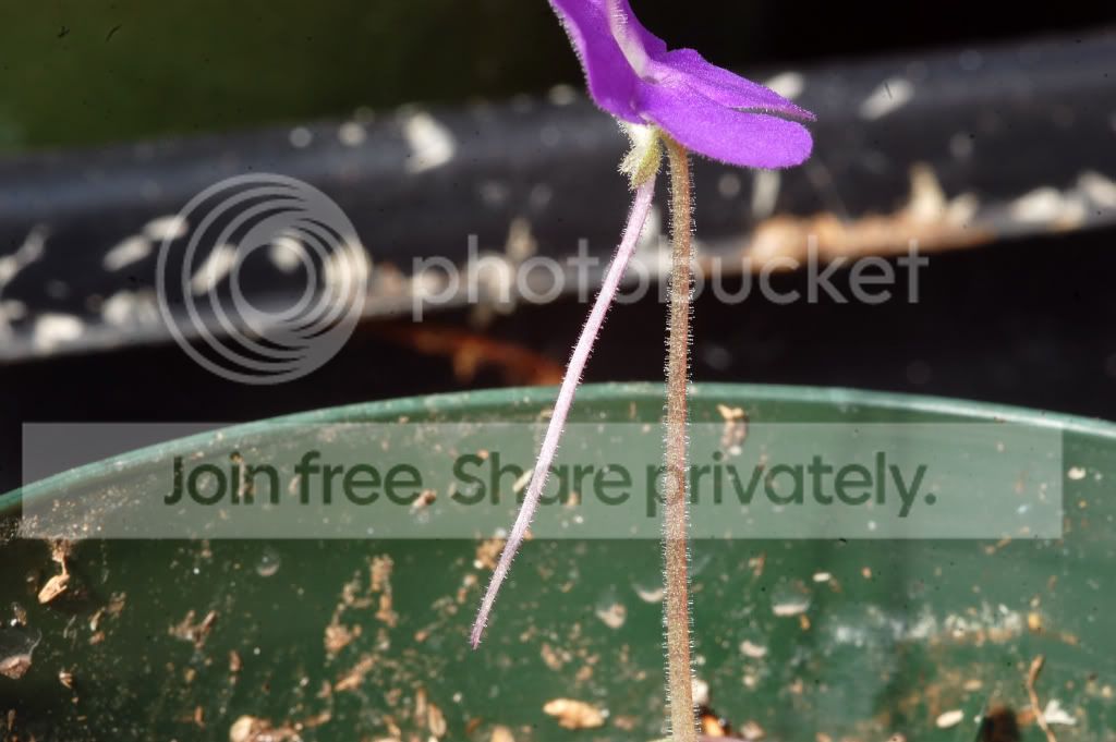 DSC_00010001_41.jpg