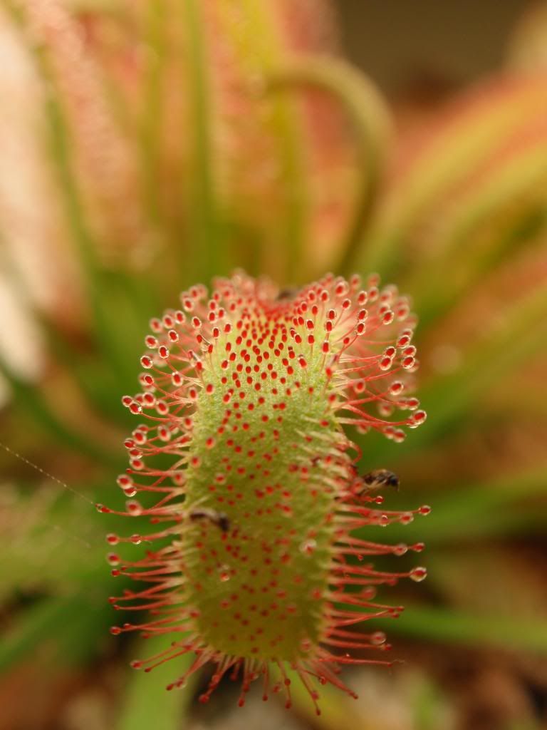 P2230308_zps0af12583.jpg