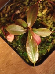 24068919644_870ed71f16_m.jpg