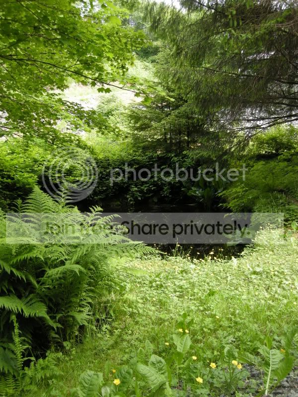 DSCN6069.jpg