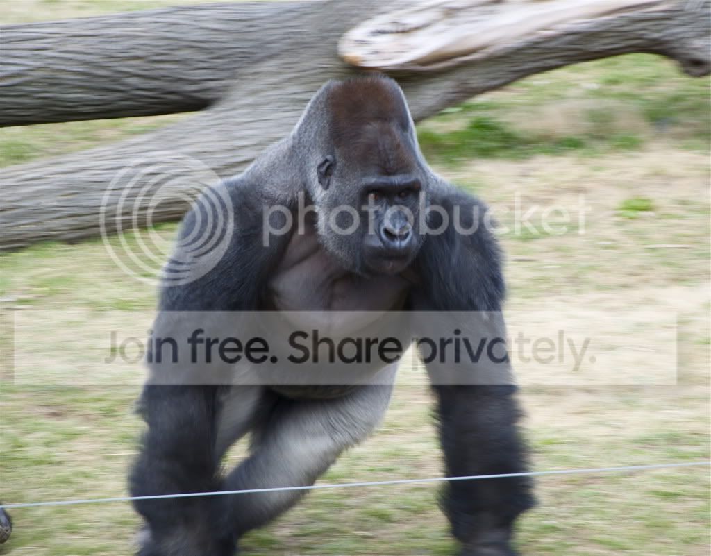 DSC_0229.jpg
