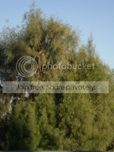 PB190086.jpg