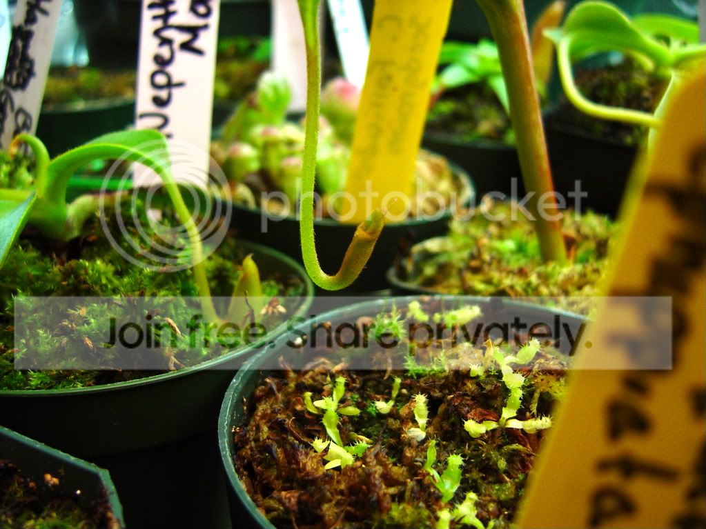CPupdatesmostlyneps3-11-09005.jpg