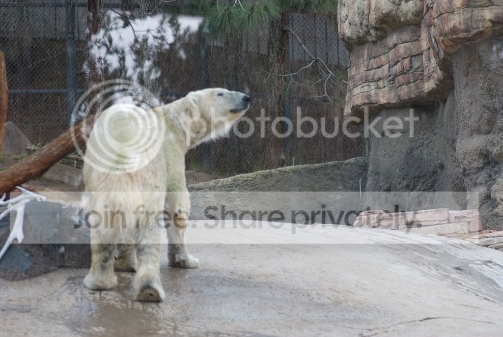 IMGP3492_zpsf5barkmd.jpg