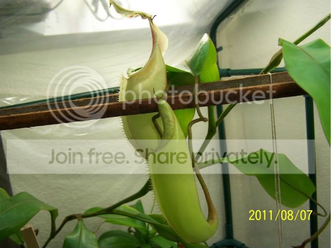 100_5017.jpg