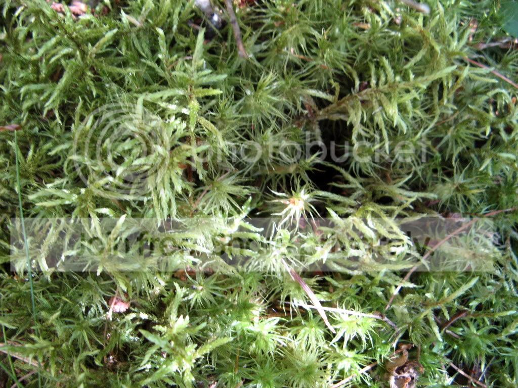 IMG_2865.jpg