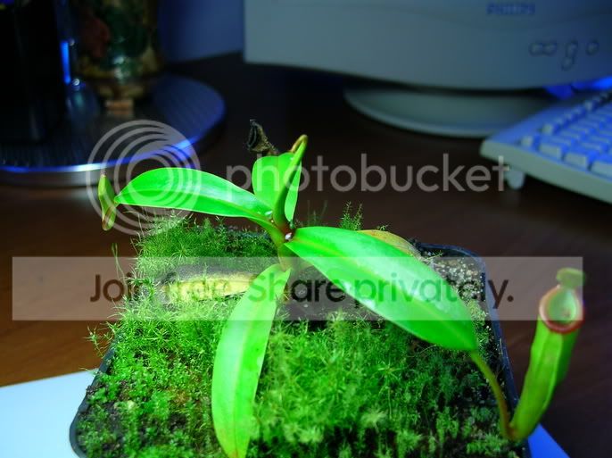 3158e7e0.jpg