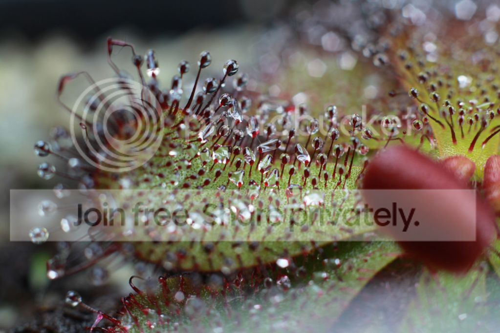 a6f959a3e6c2dbec8365a6a0f6d2b0db.jpg