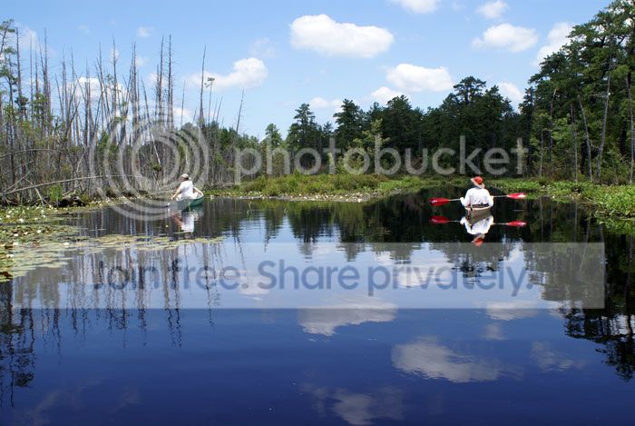 Pine-Barrens-09-043.jpg