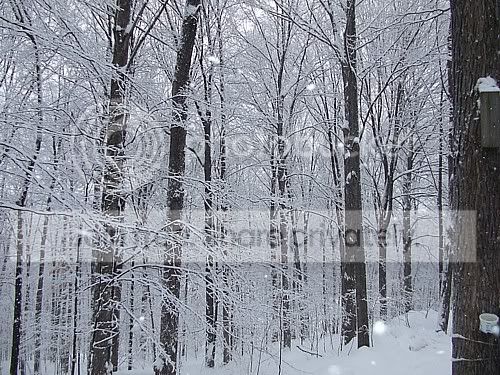 08morethan4ftsnow024.jpg