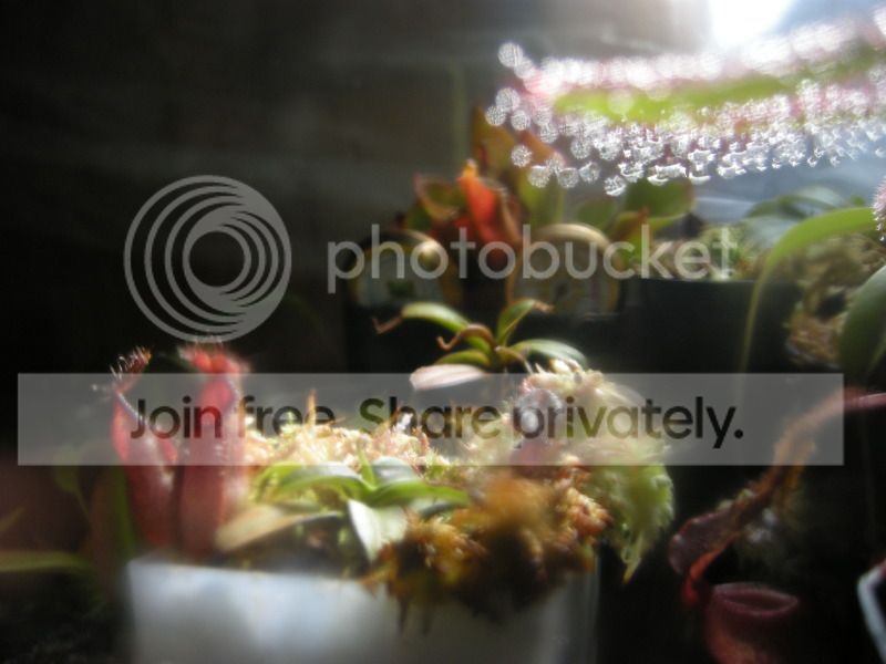 DSCN7078.jpg