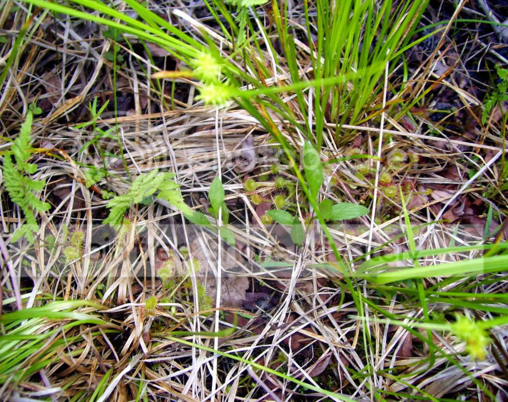 100_4066.jpg