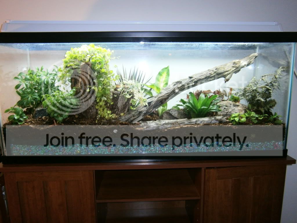 vivarium001.jpg