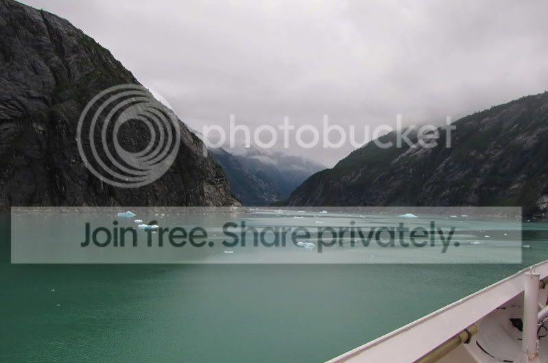 IMG_0103_zps92dabcaf.jpg
