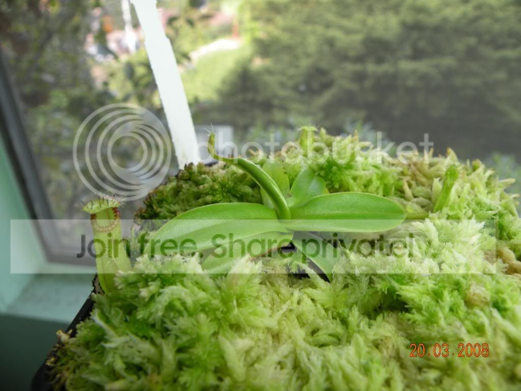 DSCN0403.jpg