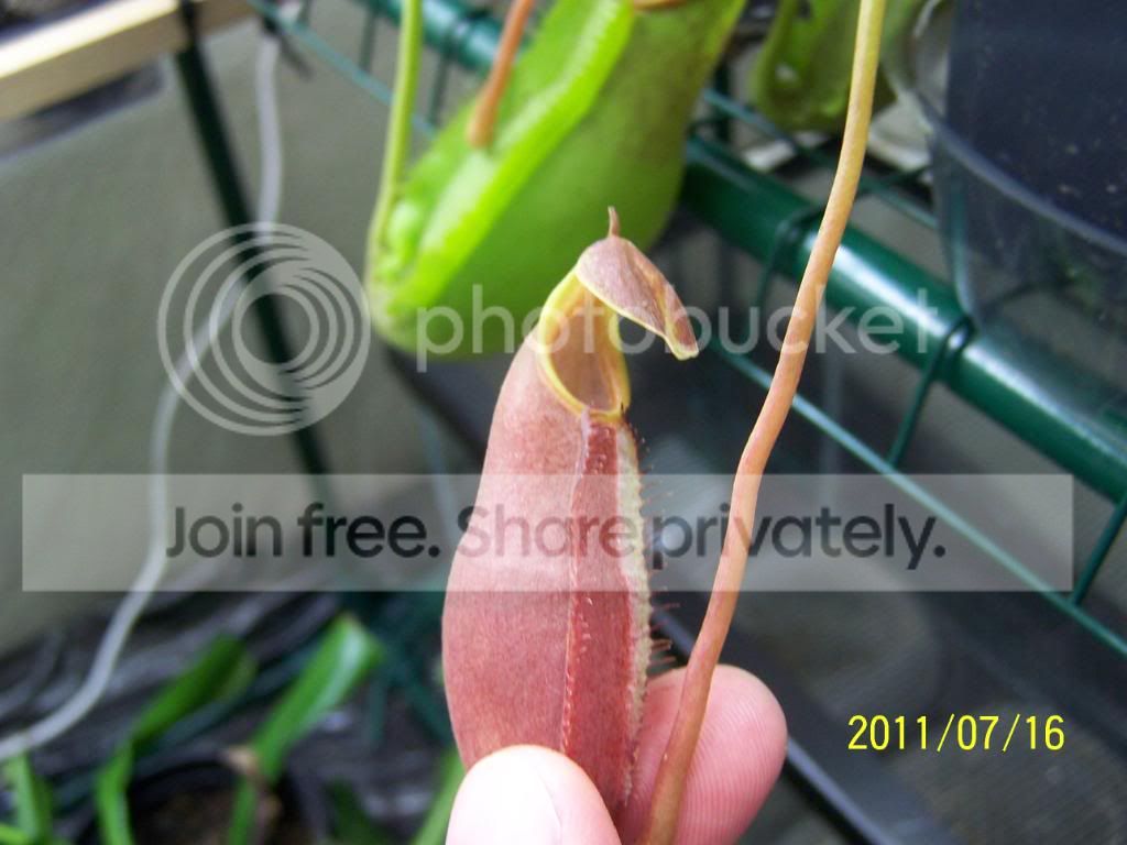 100_4835.jpg
